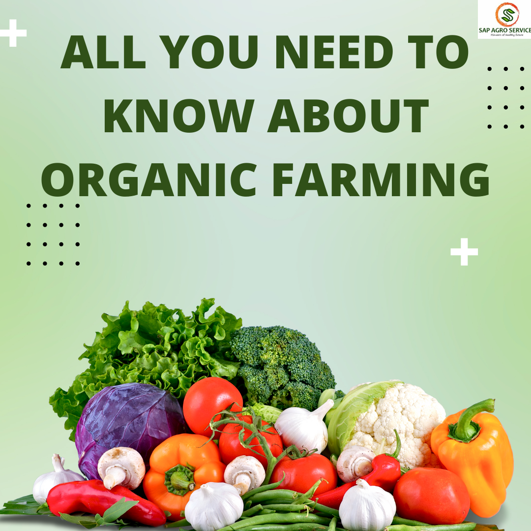 All About Organic farming