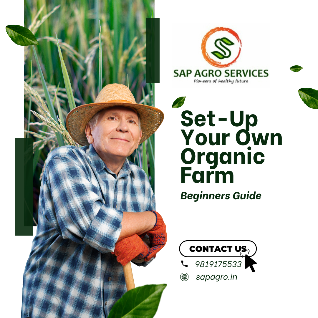 Set up your own organic farming image