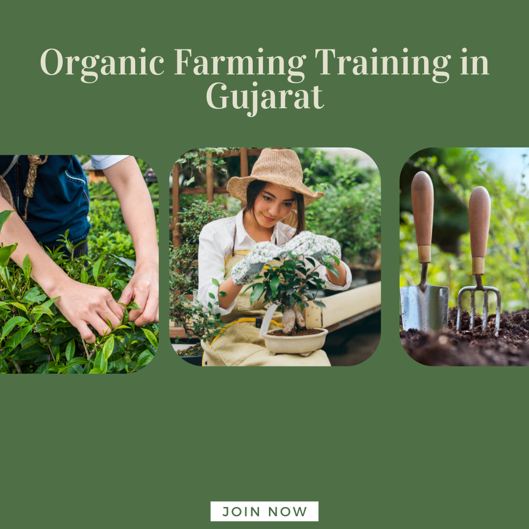 the image is of organic farming training in gujarat