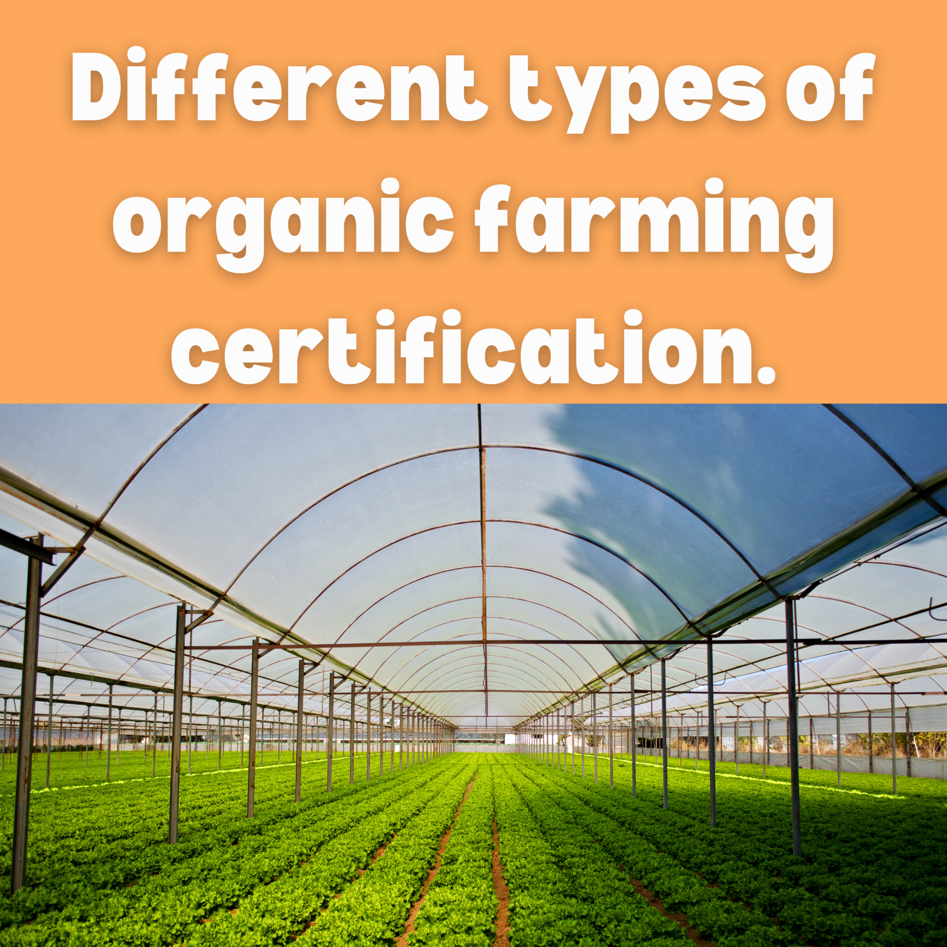 Different types of Organic Farming Certification