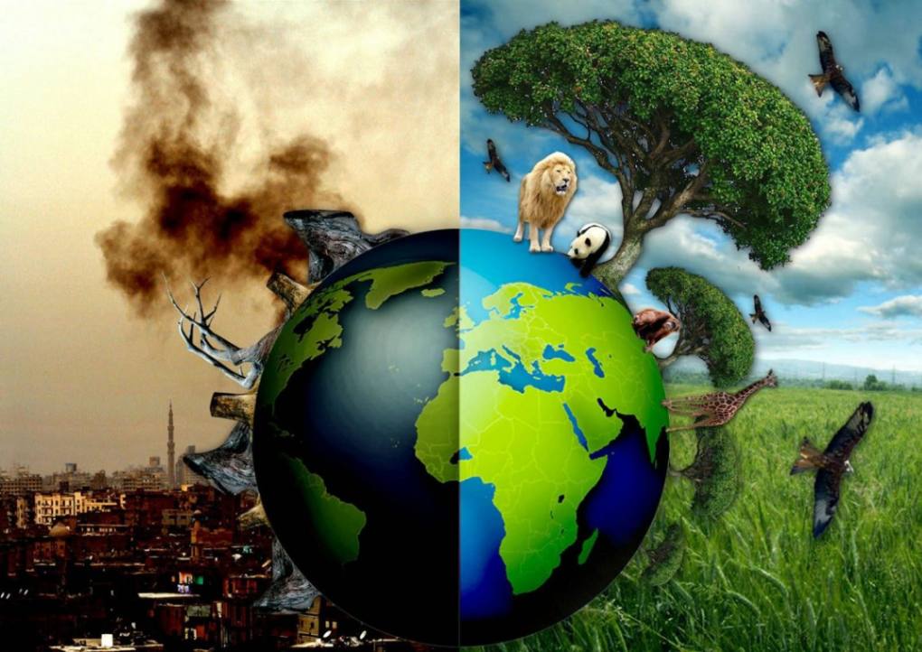 world environment day 2024
