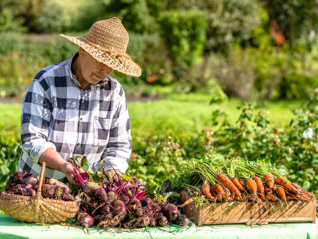 Organic Farming in bhopal