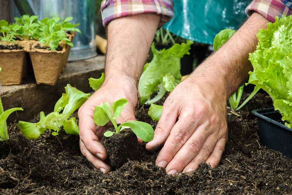 Organic Farming training in bhopal